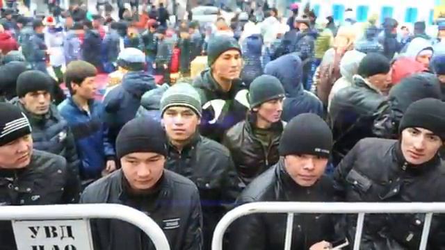 Мигранты в России. смотреть онлайн