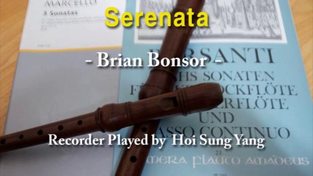 [재즈 리코더연주 ]Serenata-Brian Bonsor смотреть онлайн