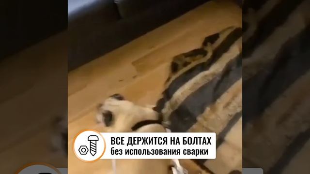 Инвалидная коляска для собак и кошек (на задние лапки)2024 смотреть онлайн