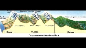 § 39 Южная Америка: путешествие (часть 2)