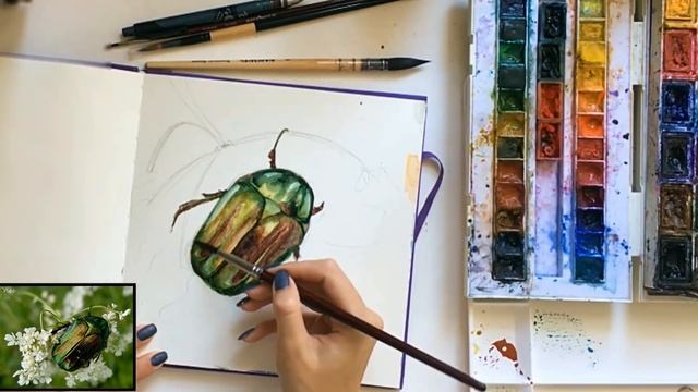 Скетчим Вместе 7 / Жук Бронзовка| Sketching Bronze beetle смотреть онлайн