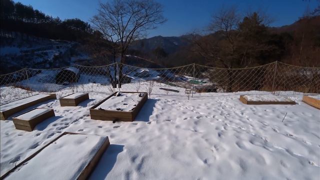 Почему я против закона о запрете употребления собак в пищу в Корее. смотреть онлайн