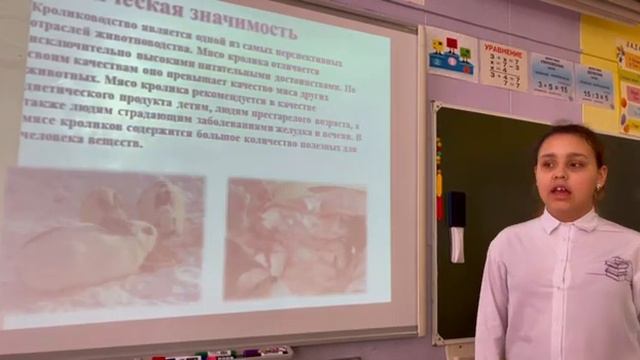 Кошмелева Таня, ученица 4Б класса. Проект " Эффективность разведения кроликов в подсобном хозяйстве смотреть онлайн