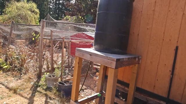 Chicken Coop Updates - Adding A Solar Light смотреть онлайн