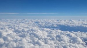 Теща и зять: Зять женился на Тёще  А жена была не против / Удивительные истории из жизни