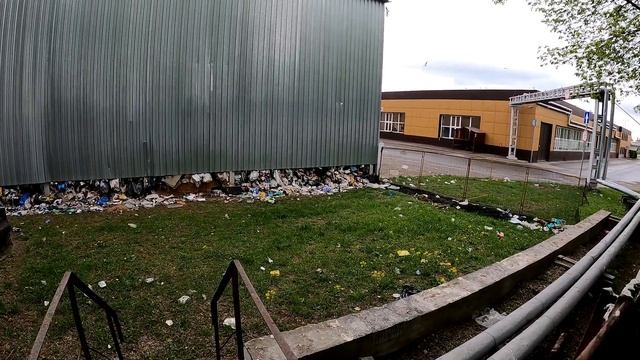 Чайки в Некрасовке как показатель экологии. смотреть онлайн