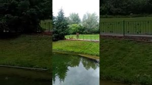 Источник Батюшки Серафима