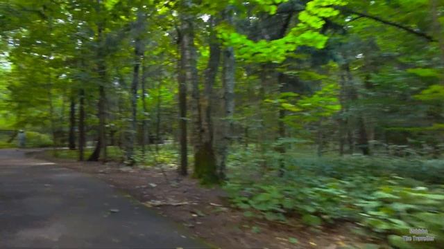 Ботанический сад Москва / Botanical Garden Moscow