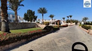 Обзор отеля RENAISSANCE SHARM EL SHEIKH GOLDEN VIEW BEACH RESORT 5* (Египет, Шарм-эль-Шейх)