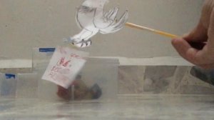 Angry Birds Rio Trailer Remake