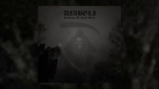 DIABOLI - Awakening of Nordic Storm (2021) Northern Heritage - full album смотреть онлайн