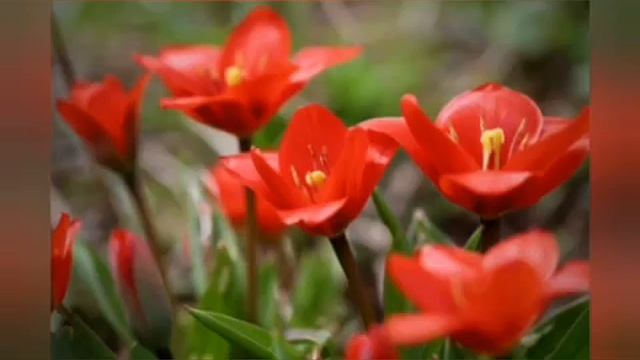 Amd Ryzen Threadripper Pro 5995wx Motherboard|amd Ryzen Threadripper Pro 5995wx Vs M1 Ultra