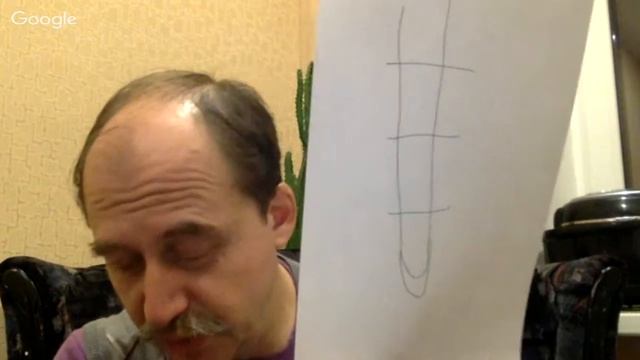 биология 6 класс