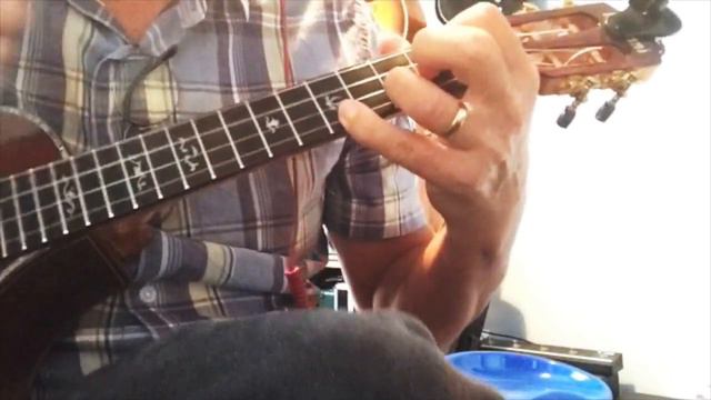Ticket To Ride Beatles Ukulele Cover смотреть онлайн