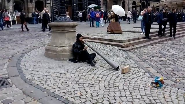 Диджериду у Львові на Площі ринок Етно музика (Milad Moghadam) смотреть онлайн