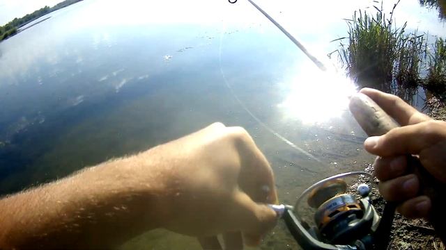 Бешаный клёв щуки!!! Рыбалка в ростовская обл смотреть онлайн