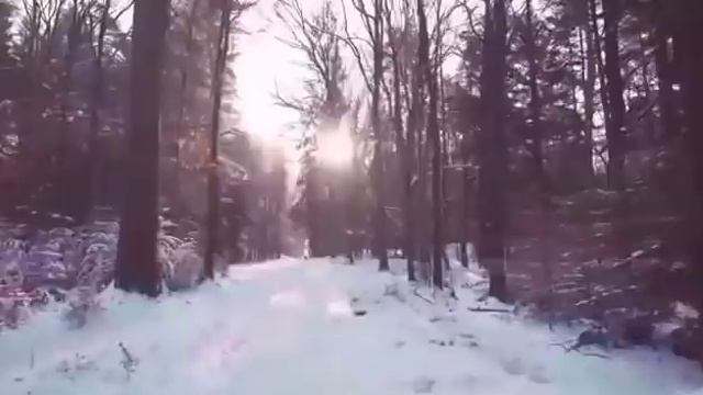 мы родились в//цена вопроса//обзор канала смотреть онлайн