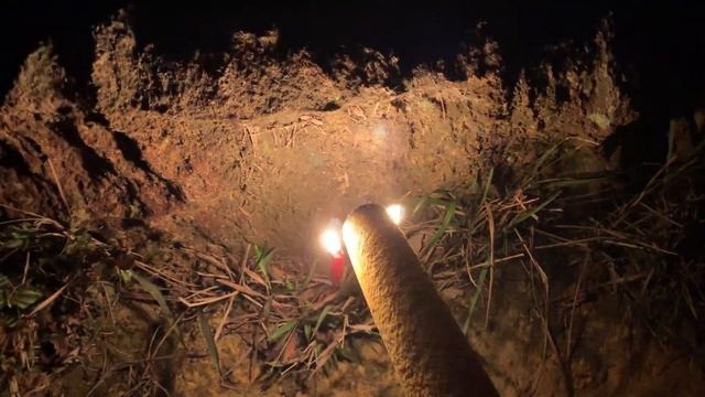 Гонконгские горы. Мертвые змеи! Энергия так и прет! смотреть онлайн