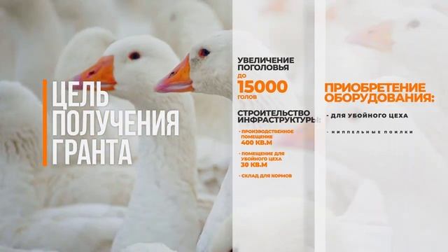 Гусиная Ферма Грант смотреть онлайн