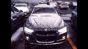 Покорила меня сука твоя правда