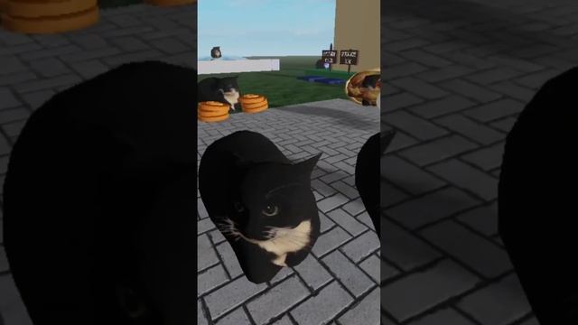 roblox maxwell the cat ? #roblox #maxwell смотреть онлайн