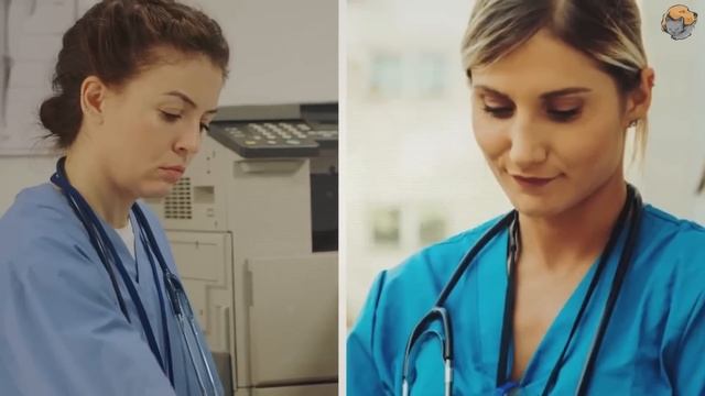 Собака внезапно примчалась в больницу. Медсестра начала плакать, когда увидела причину! смотреть онлайн