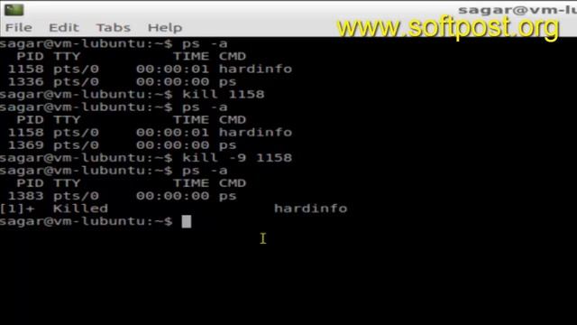 Kill all processes with given name in Bash смотреть онлайн
