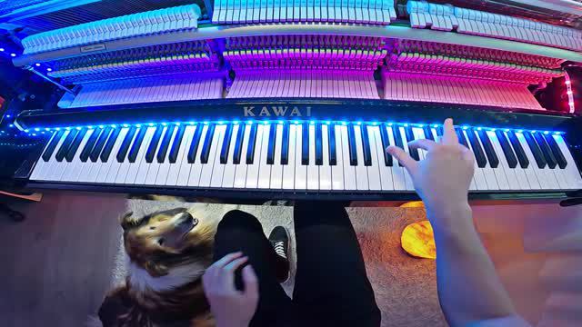 I played DANCE MONKEY to my DOG Peter Buka смотреть онлайн