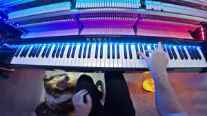 I played DANCE MONKEY to my DOG Peter Buka