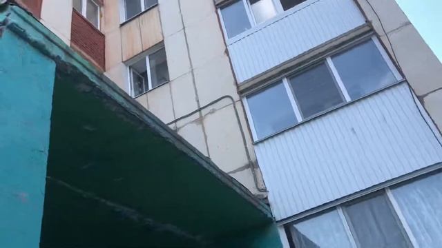 Ненормальные соседи #3 смотреть онлайн