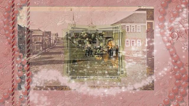 Хризантемы в саду , 🌺🌸💮 смотреть онлайн