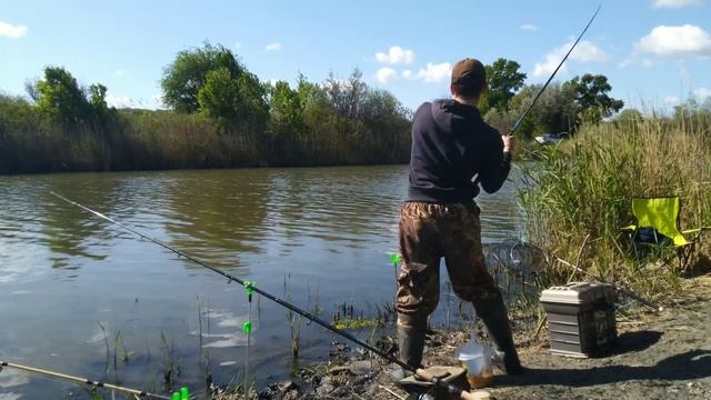ЛЕЩ и КАРАСЬ на ФИДЕР!!! РЫБАЛКА на ТЕПЛОМ КАНАЛЕ возле ГОРБАТОГО МОСТА!!! смотреть онлайн