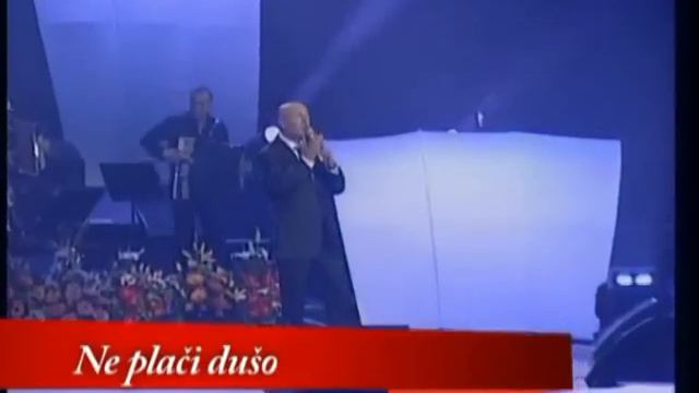 Saban Saulic - Koncert - (LIVE) - (Sava Centar 2013)