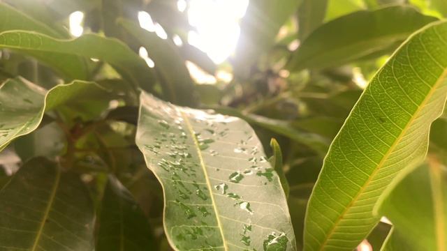 💥New Live💥РАСПРЯМЬ ОСЛАБЛЕННЫЕ ПЛЕЧИ🎙 @DavidMo смотреть онлайн