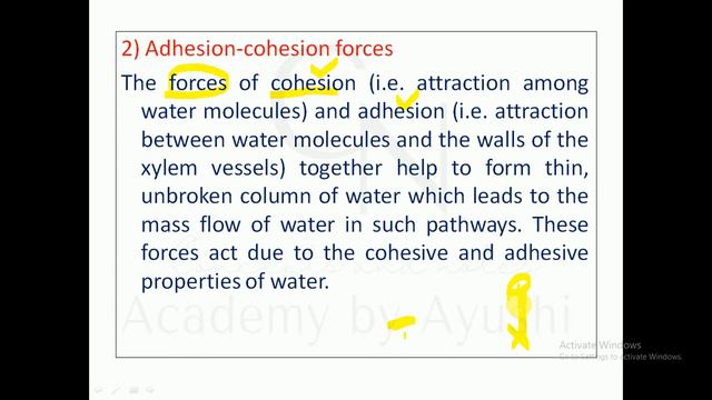 Absorption of water || Apoplast & Symplast pathway || For B.Sc. students || Academy by Ayushi смотреть онлайн