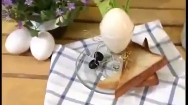 Контейнеры для варки яиц смотреть онлайн
