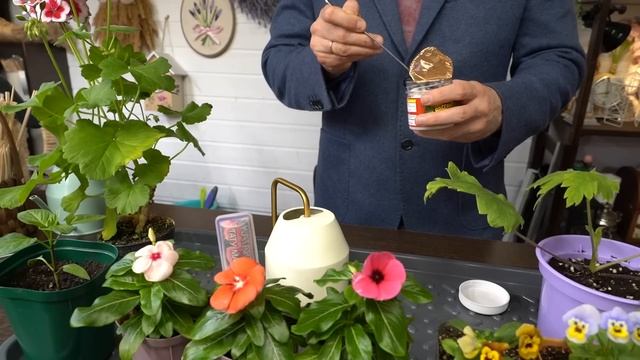 Дачные сезоны с Мариной Рыкалиной от 16 марта 2023 года смотреть онлайн