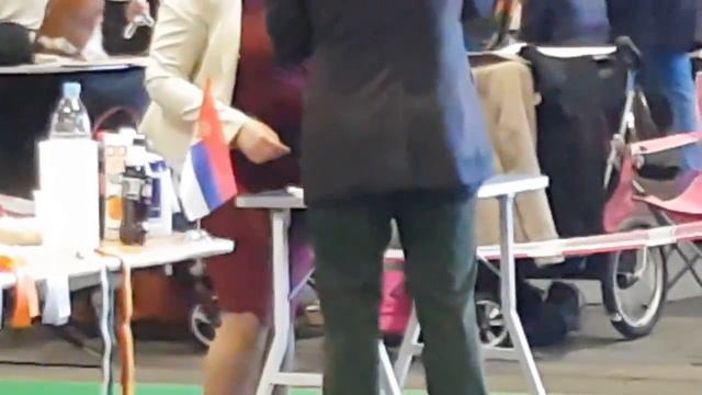 18 марта 2018 г.