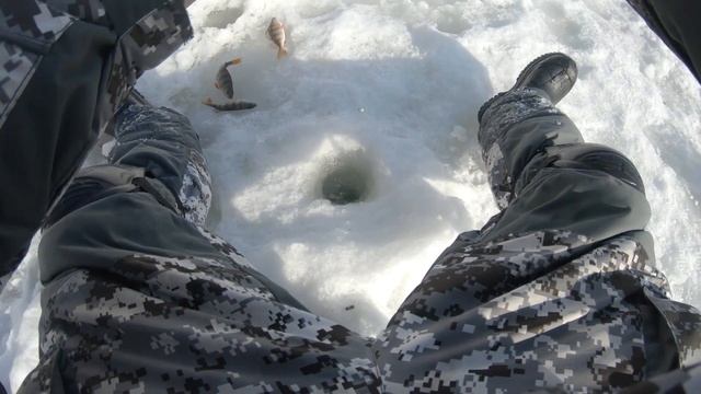 Забытая Секретная мормышка дает фору всем. Окунь на безмотылку в корягах #порыбачим смотреть онлайн