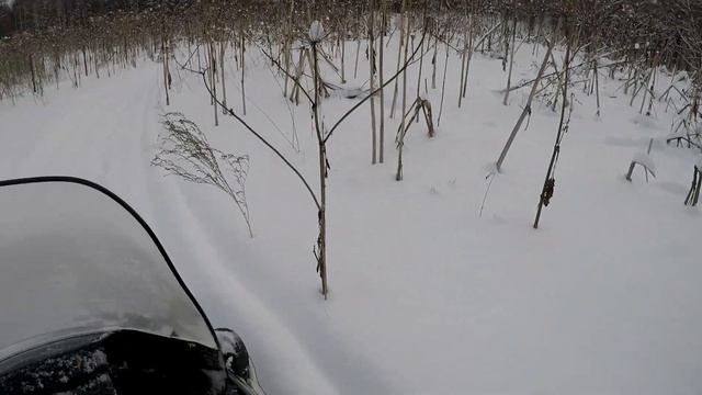 На Yamaha Viking- 540 по лесу и глубокому снегу. смотреть онлайн