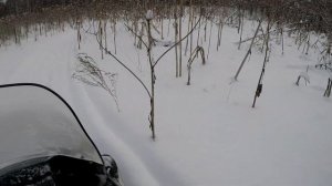 На Yamaha Viking- 540 по лесу и глубокому снегу.