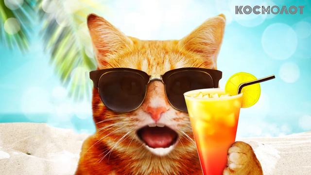 HD - песня из рекламы КОСМОЛОТ Спекотний лям смотреть онлайн