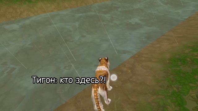 ?#Wildcraft|Puma_Wildcraft