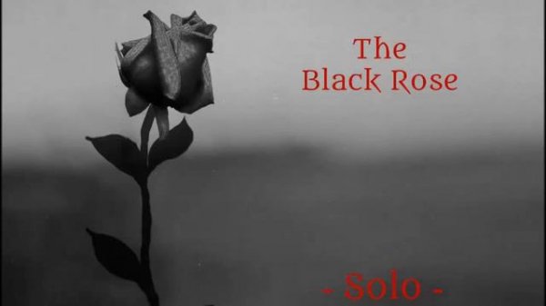 The Black Rose Solo Time Flies
