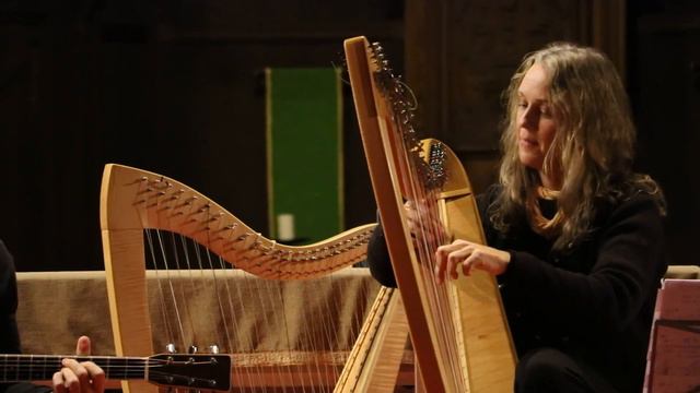 Amala: The Galway Hornpipe, The Golden Eagle, The Independent Hornpipe (Irish Harp & Guitar) смотреть онлайн