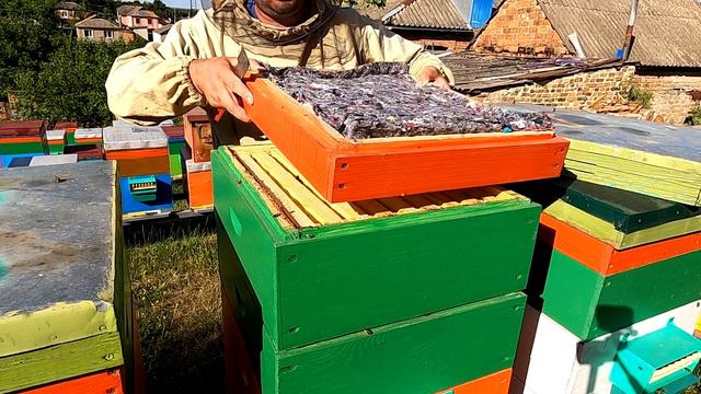 Магазини всі залиті медом Потрібні 3 магазини смотреть онлайн