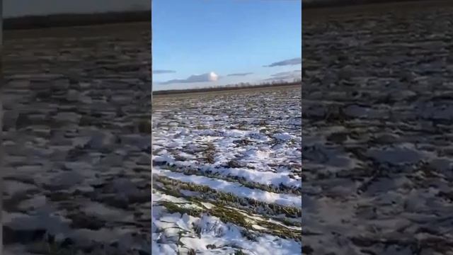 Бесхозяйственность.Заречное.Камчатка. Экосистема.Заповедный край. Экология Камчатки. смотреть онлайн