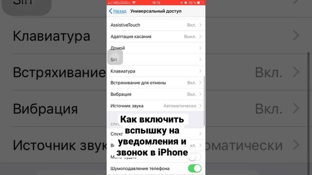 Как включить вспышку на уведомления и звонок в iPhone #shorts #iphone смотреть онлайн