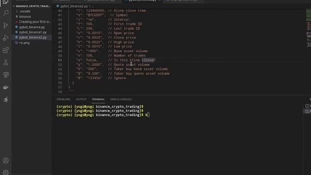 Binance Trading API - Creating Your First Simple Crypto-Trading Bot [Part 3/4] смотреть онлайн
