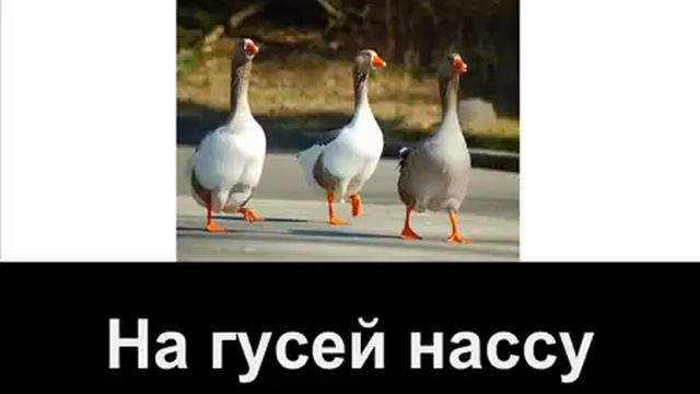 Giorgos Mazonakis   Savvato караоке по русски